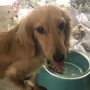 Meet your Posher, Robbie